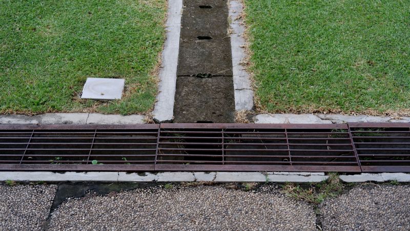 Wet Yard Drainage