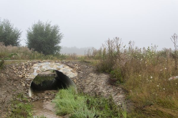Culvert Collapse Repair - Culvert Collapse Repair Kirkland, Washington