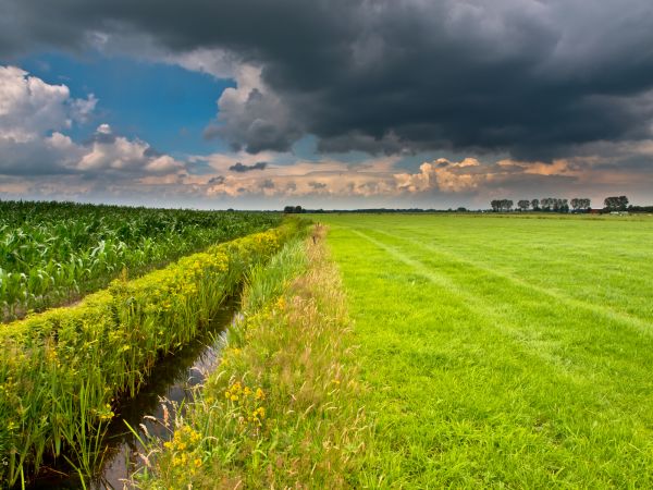 Agricultural Drain Service - Agricultural Drain Service Andover, Minnesota