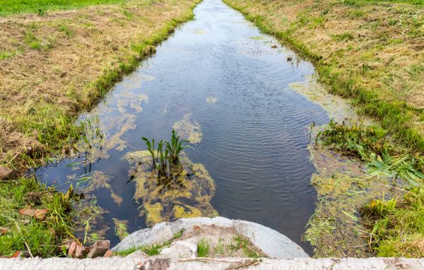 Soil Water Management