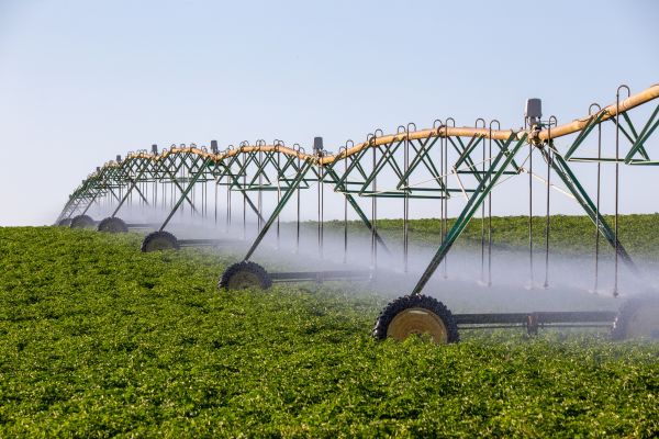 Crop Water Management